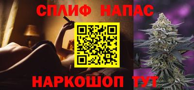 стаф Малгобек