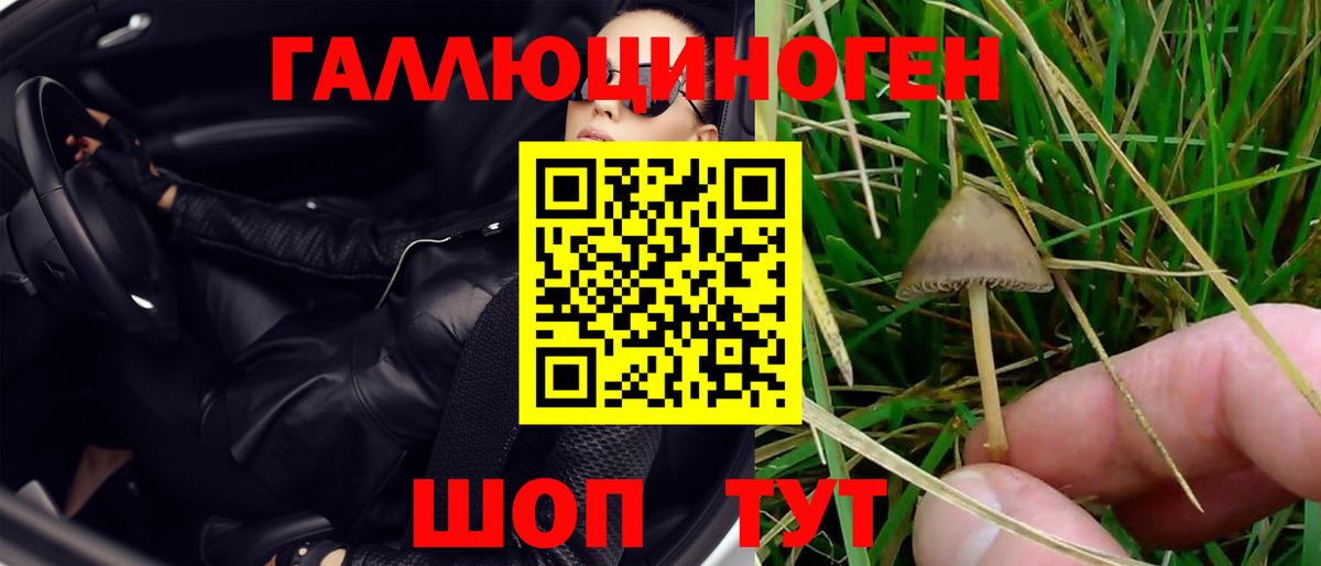 Галлюциногенные грибы Psilocybe  Вход с VPN  Алушта 